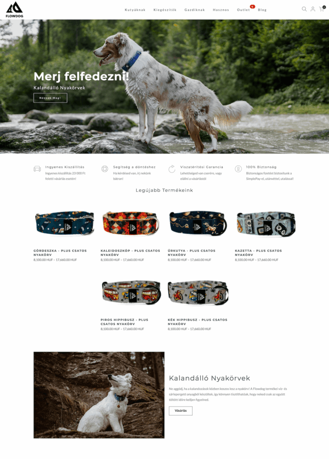 flowdog.hu főoldal weboldal hero